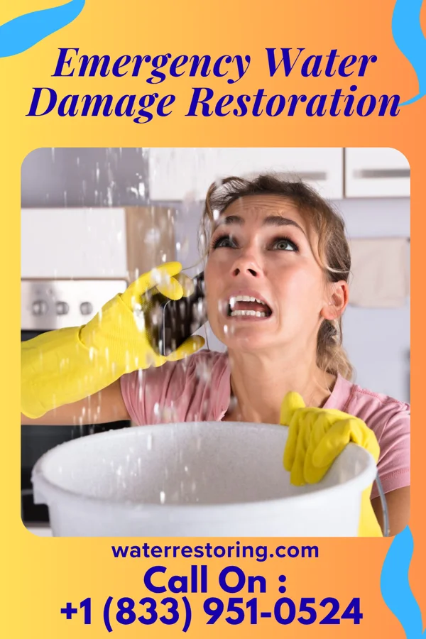 Emergency Water Damage Restoration in Nodaway, IA