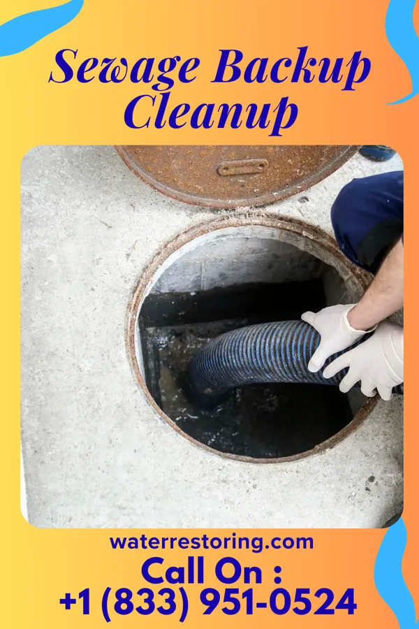 Sewage Backup Cleanup in Nodaway, IA